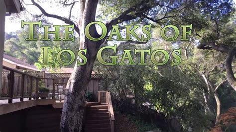 Los Gatos’ Oak & Rye, Enoteca La Storia expanding to Morgan Hill